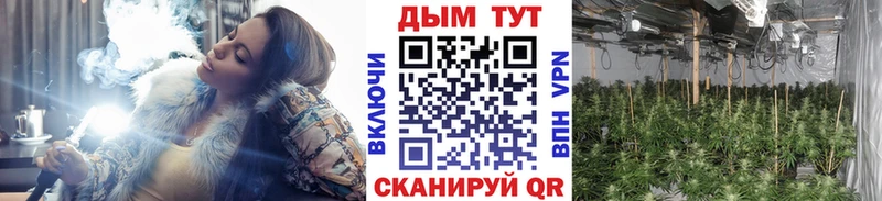 Где купить Дигора A PVP Конопля COCAIN БУТИРАТ Гашиш МЕФ