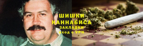 марки lsd Гусиноозёрск