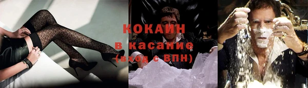 твердый Гусев
