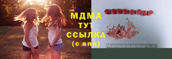 твердый Гусев