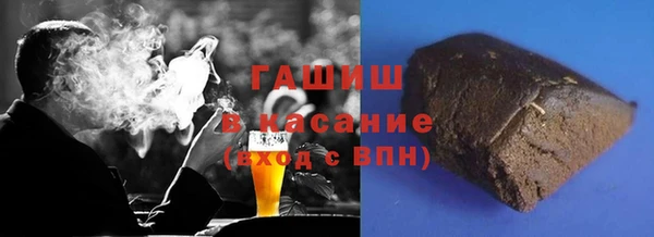 твердый Гусев