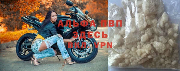 твердый Гусев