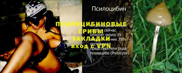 твердый Гусев