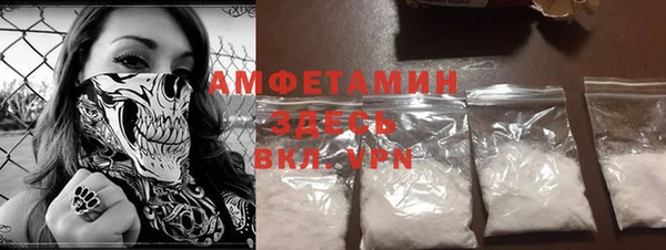 твердый Гусев