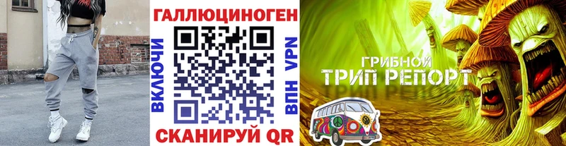 закладки  Дигора  Псилоцибиновые грибы ЛСД 